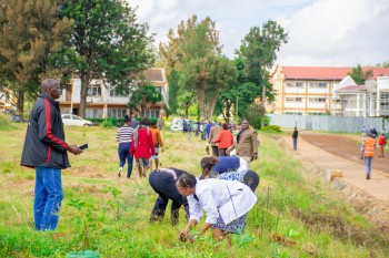 Elimu Tree Planting 