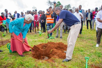Elimu Tree Planting 