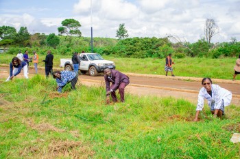 Elimu Tree Planting 