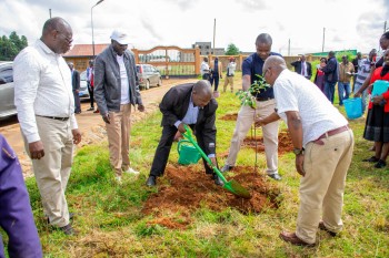 Elimu Tree Planting 