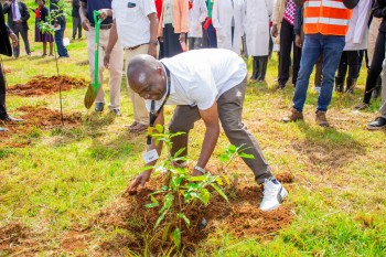 Elimu Tree Planting 