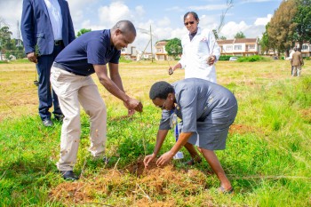 Elimu Tree Planting 