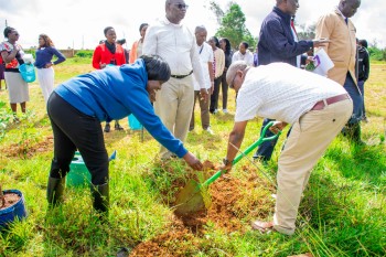 Elimu Tree Planting 