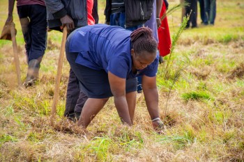 Elimu Tree Planting 