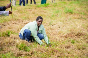 Elimu Tree Planting 