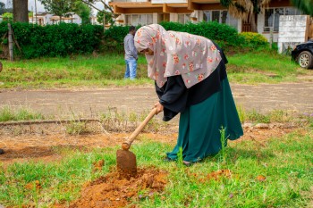 Elimu Tree Planting 