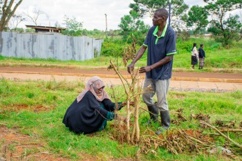 Elimu Tree Planting 