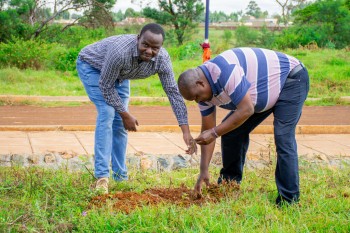 Elimu Tree Planting 