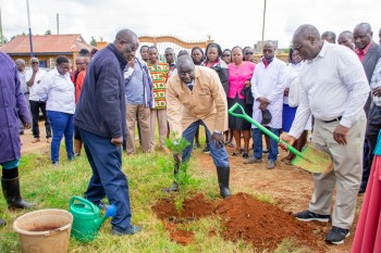 Elimu Tree Planting 