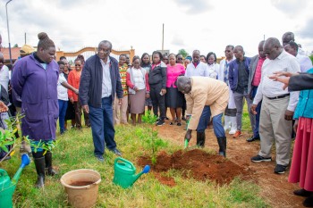Elimu Tree Planting 