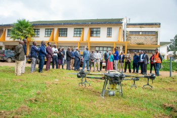 University of Eldore