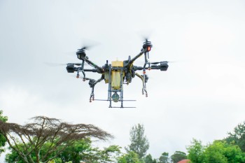 University of Eldore