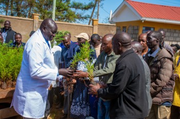 University of Eldore