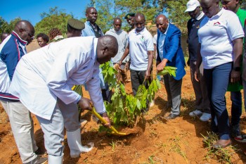 University of Eldore