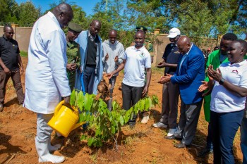 University of Eldore