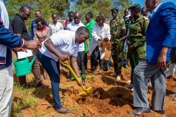 University of Eldore