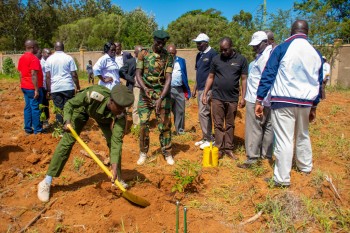 University of Eldore