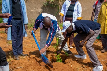 University of Eldore