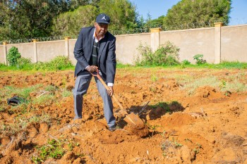 University of Eldore