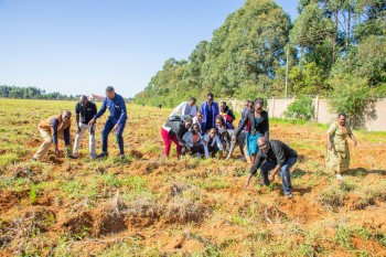 University of Eldore