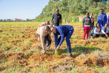 University of Eldore