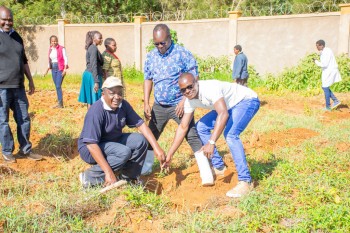 University of Eldore