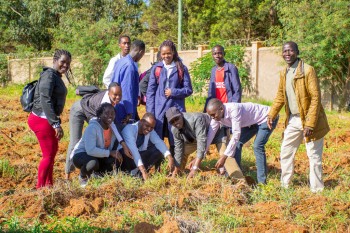 University of Eldore