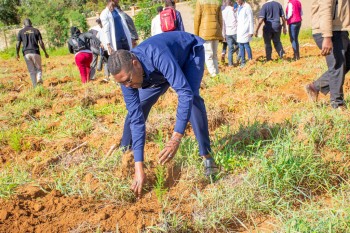 University of Eldore