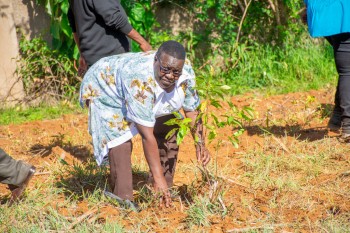 University of Eldore