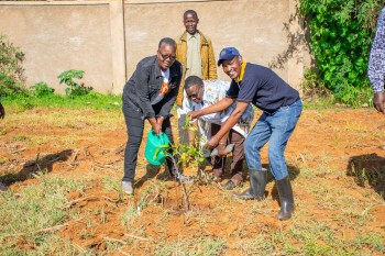 University of Eldore