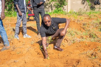 University of Eldore