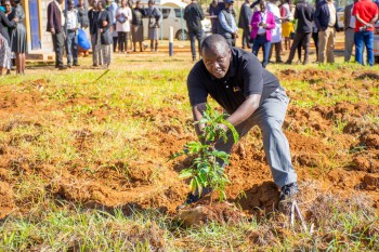 University of Eldore