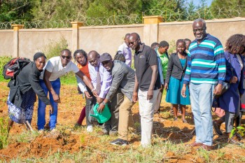 University of Eldore