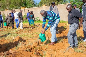 University of Eldore