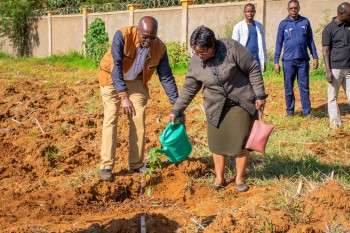 University of Eldore