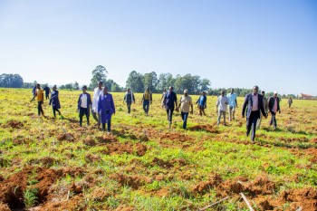 University of Eldore