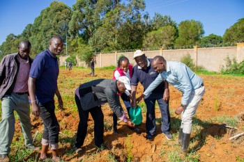 University of Eldore
