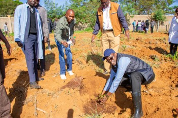 University of Eldore