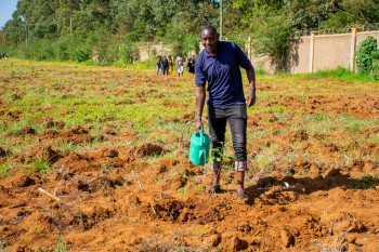 University of Eldore