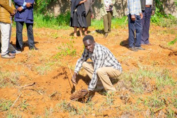 University of Eldore