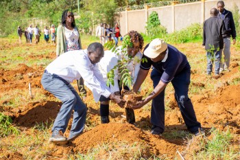 University of Eldore