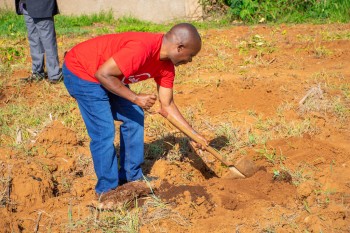 University of Eldore