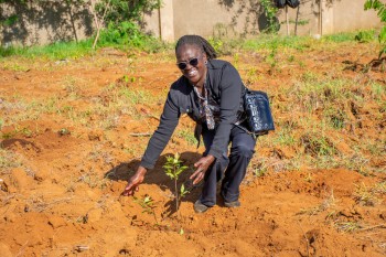 University of Eldore