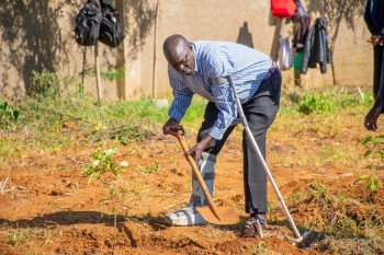 University of Eldore