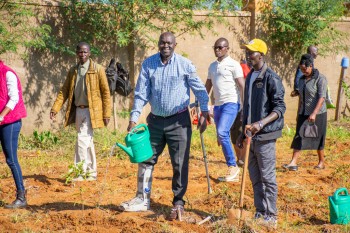 University of Eldore