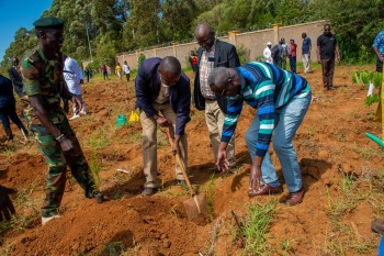 University of Eldore