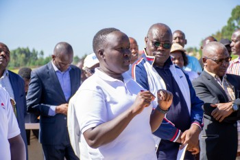 University of Eldore