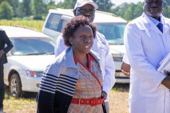 University of Eldore