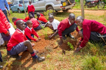 Growel Community and