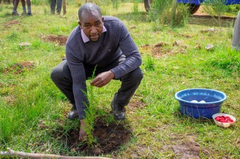 Growel Community and